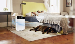 Livington AirPurifier 6-in-1 Luftreiniger