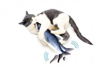 Flippity Fish geniales Katzenspielzeug