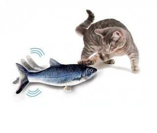 Flippity Fish geniales Katzenspielzeug