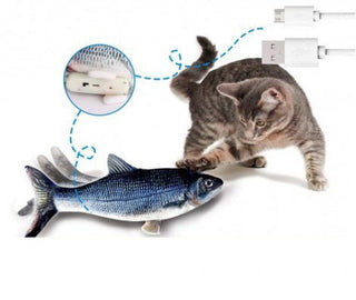 Flippity Fish geniales Katzenspielzeug