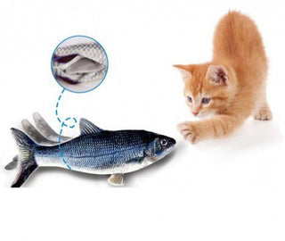 Flippity Fish geniales Katzenspielzeug