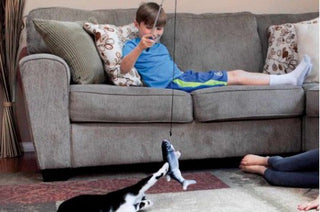 Flippity Fish geniales Katzenspielzeug