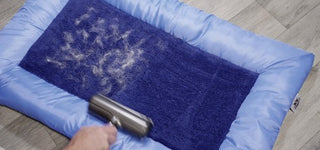 Fur Daddy Tierhaarbürste Deluxe 1+1 Akku Mikro-Schall-Technologie