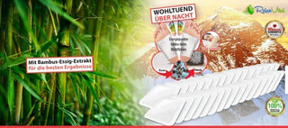 10er Set Himalaya DETOX Pflaster