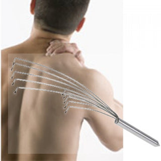 Körpermasseur Wellness und Entspannung Pur!