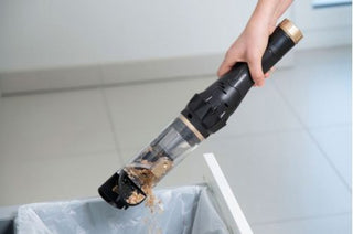 Livington Prime Everyday kompakter Akkusauger schwarz