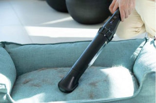 Livington Prime Everyday kompakter Akkusauger schwarz
