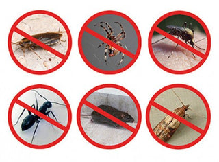 Pest Reject Pro Insektenstecker mit Nachtlicht