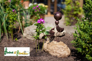 Witzige Steinameisen für Haus und Garten