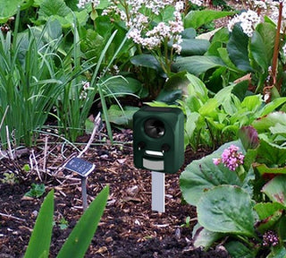 Tierschreck Solarbetrieben Universal