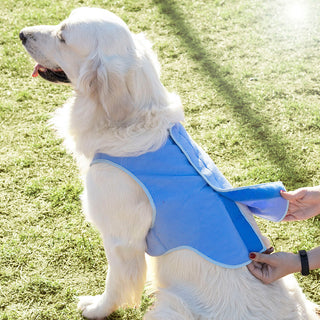 Kühlweste für Große Hunde - L