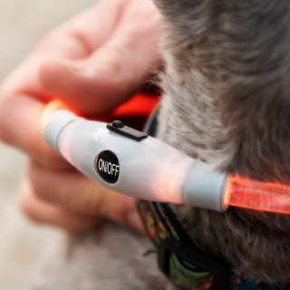 LED-Halsband für Haustiere - 3 Beleuchtungsmodi