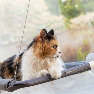 Hängematte für Katzen - robust und langlebig