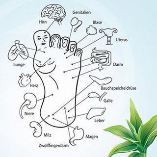 Vital Pure Body Entschlackungspflaster!